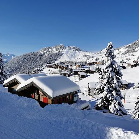 Chalet Enzian Riederalp Exteriér fotografie