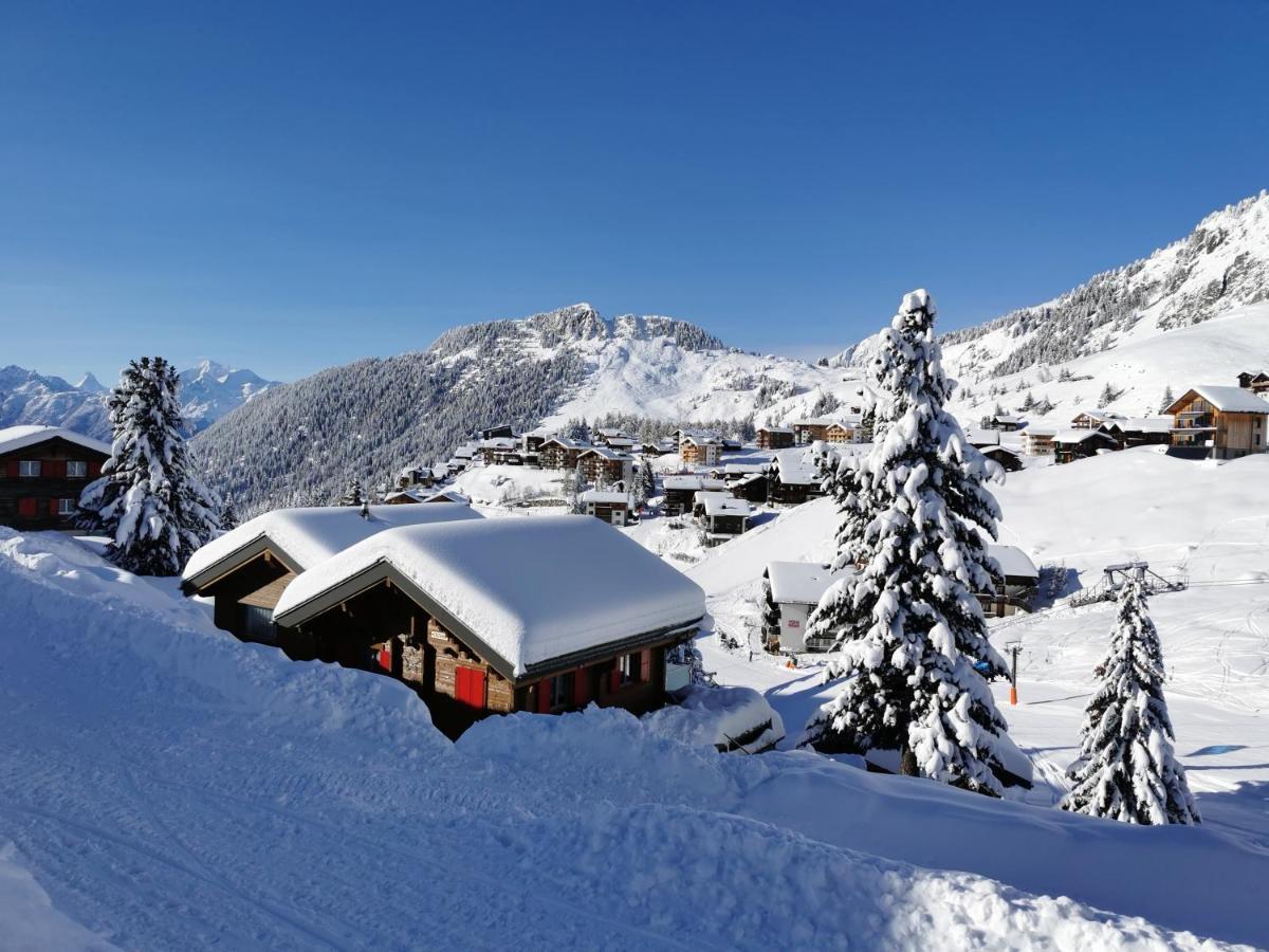 Chalet Enzian Riederalp Exteriér fotografie