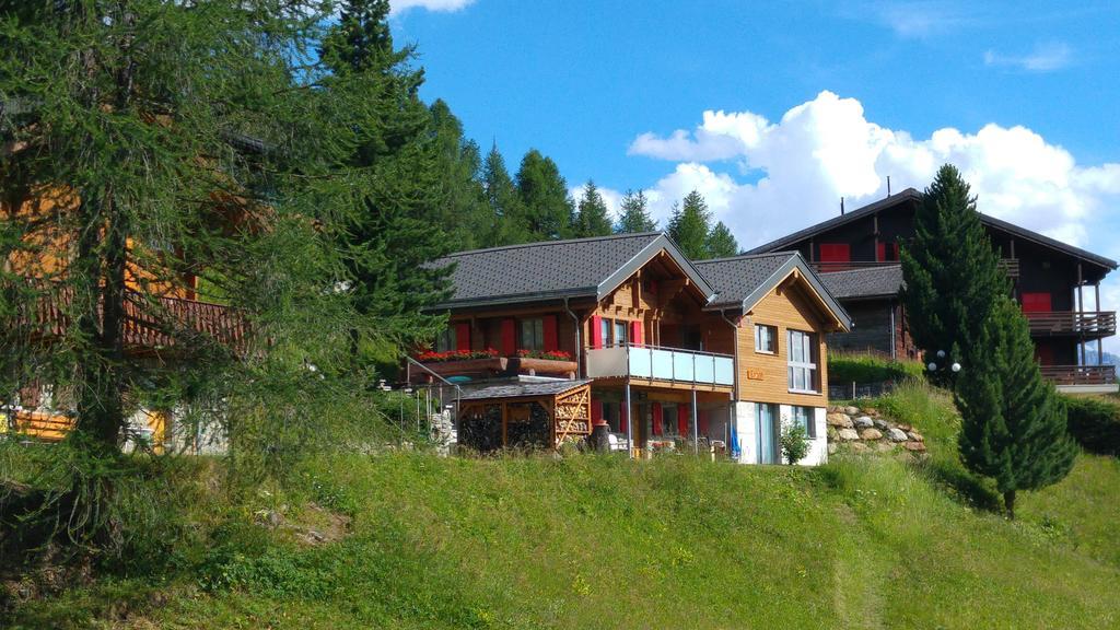 Chalet Enzian Riederalp Exteriér fotografie
