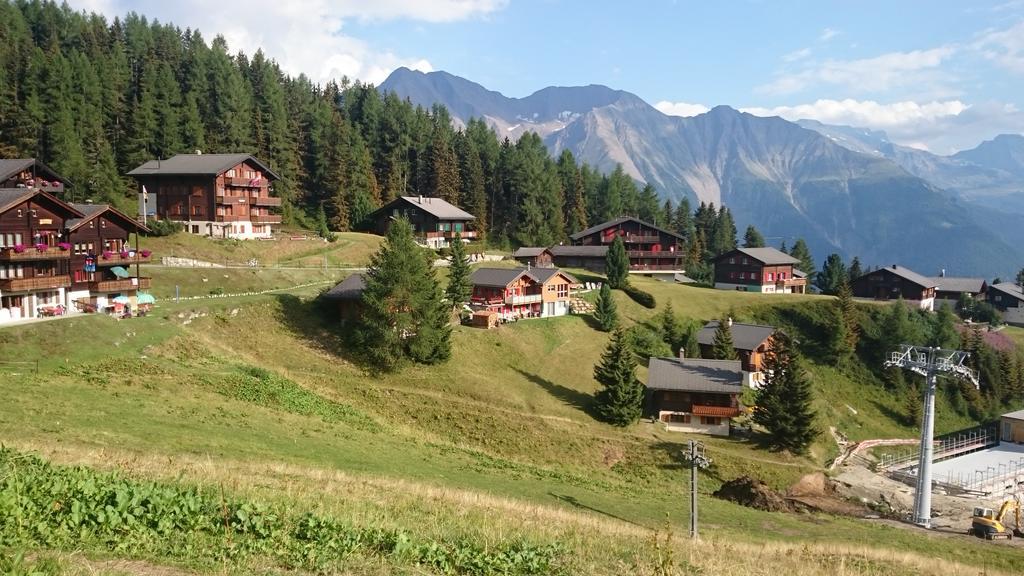 Chalet Enzian Riederalp Exteriér fotografie