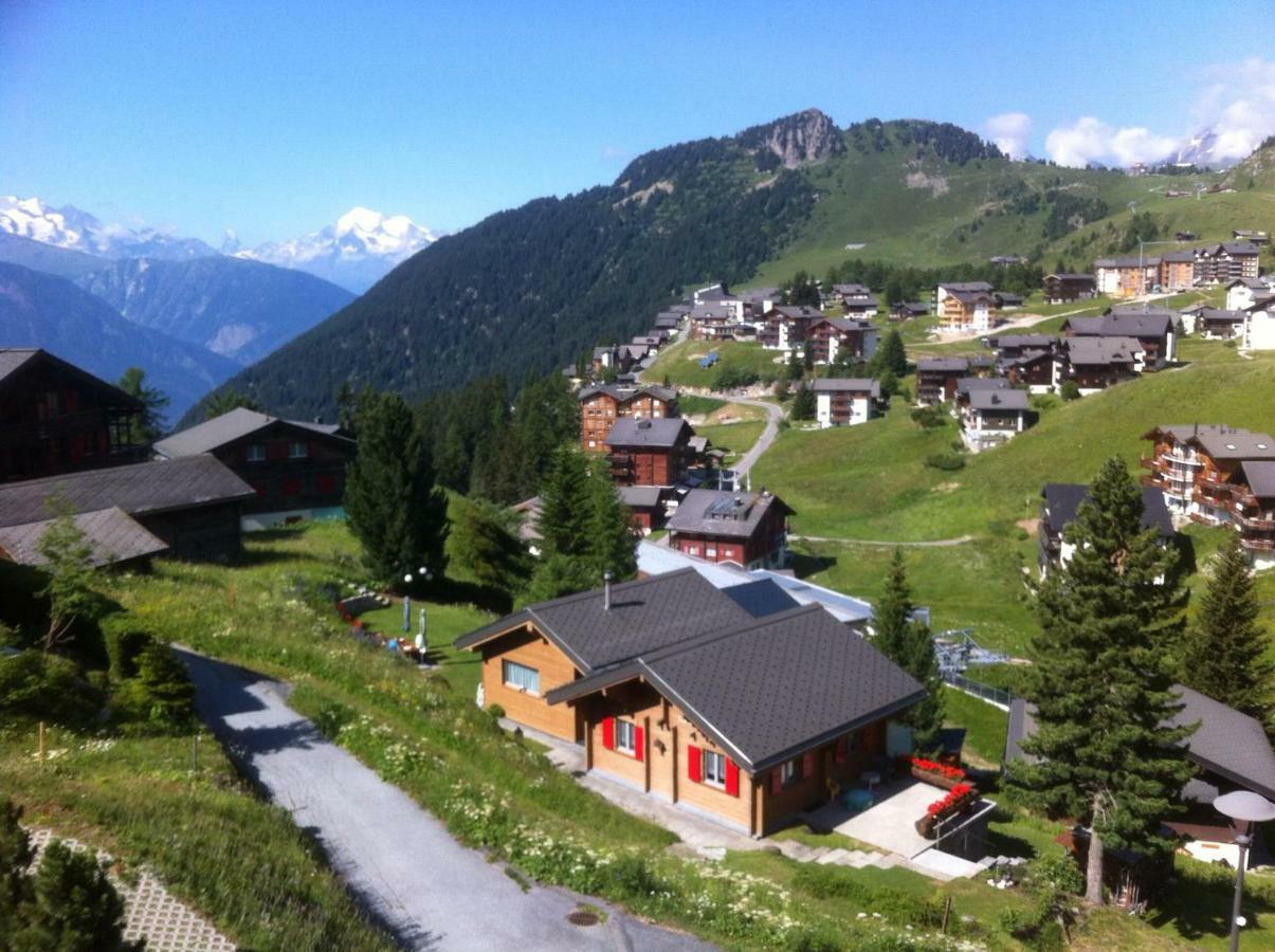 Chalet Enzian Riederalp Exteriér fotografie
